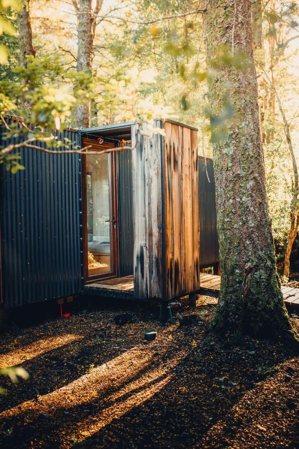 Outscape L Refugios Puerto Fuy, Huilo Huilo Villa Екстериор снимка
