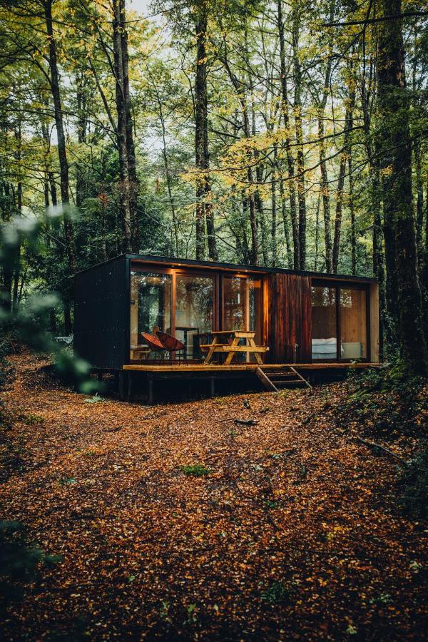 Outscape L Refugios Puerto Fuy, Huilo Huilo Villa Екстериор снимка